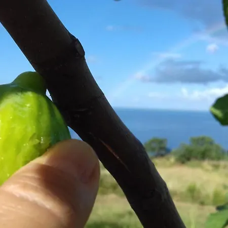 农家乐 Podere Staffa 圣卢西铎