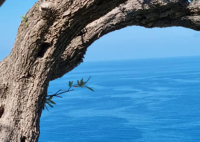 Podere Staffa * 圣卢西铎