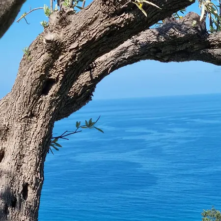 Podere Staffa * 산 루시도